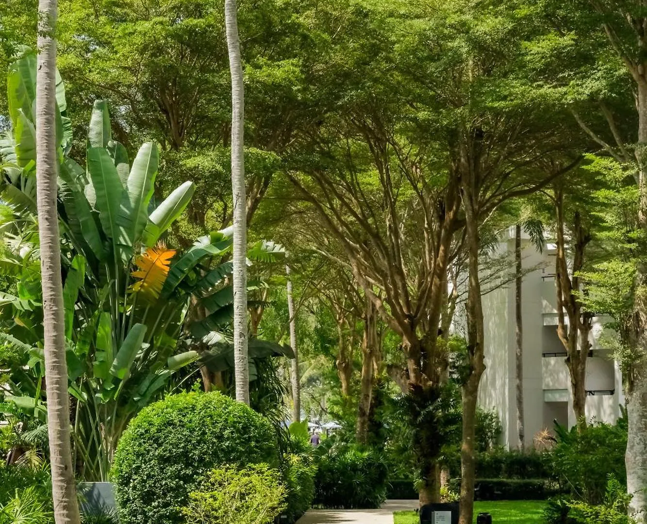 Le Meridien Phuket Mai Khao Beach Resort Hotel